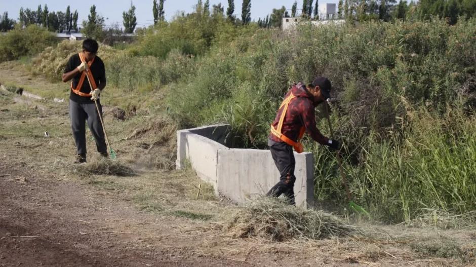 Realizaron un operativo de limpieza y fumigación en el Bº "Luz y Fuerza"